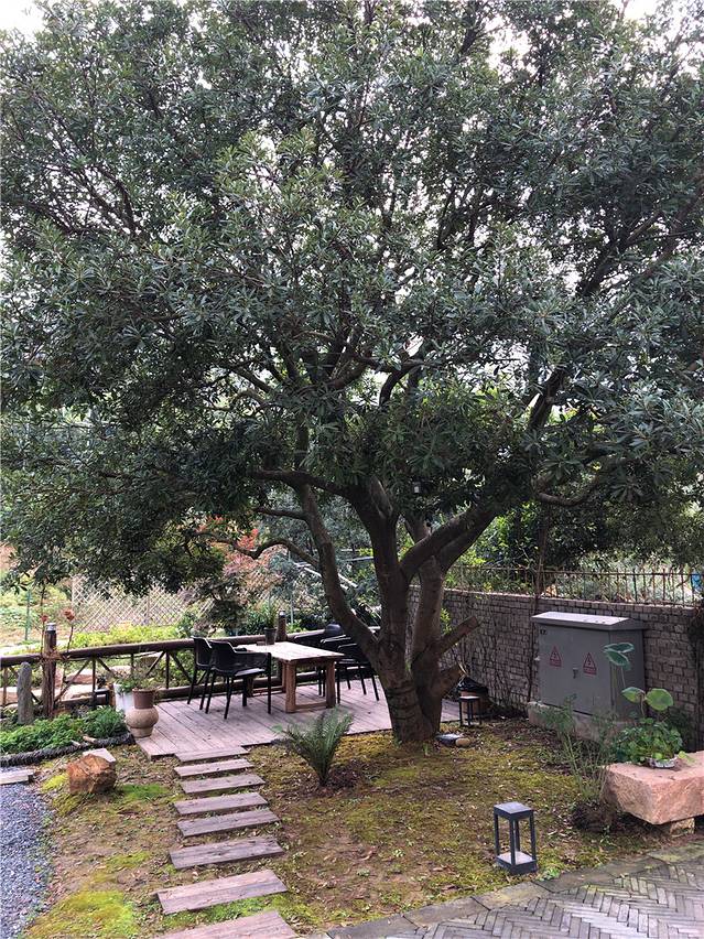 树山生态园客运站