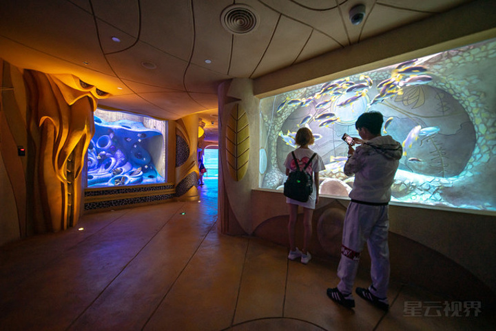 "我们有幸参观了亚特兰蒂斯全国最独一无二的水底套房，客房与水族馆相连，可以看到海底世界，既有奢华..._三亚亚特兰蒂斯水世界"的评论图片