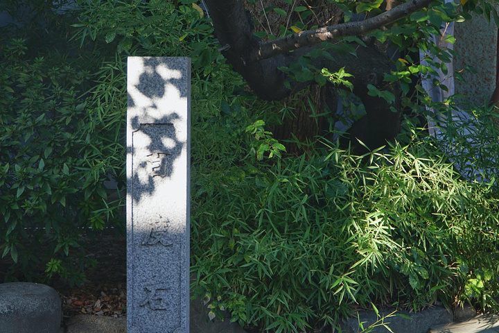 "大阪小众景点推荐-难波八坂神社💰人均消费：免费参观神社面积不大，最多半个小时也就转遍整个神社_难波神社"的评论图片