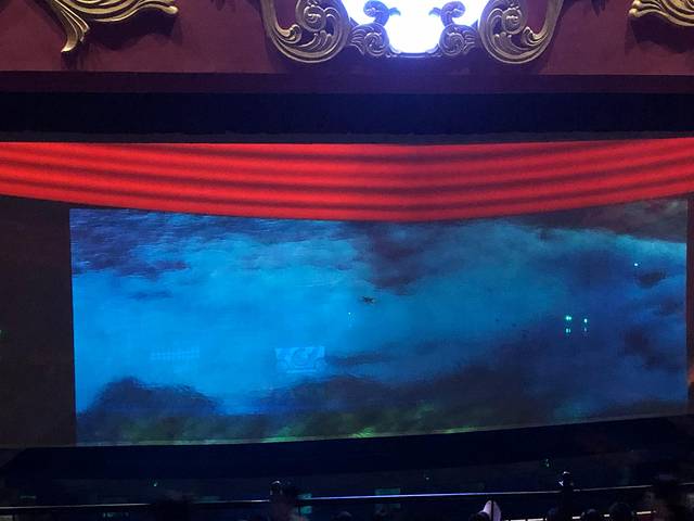 《海狮哈哈秀》