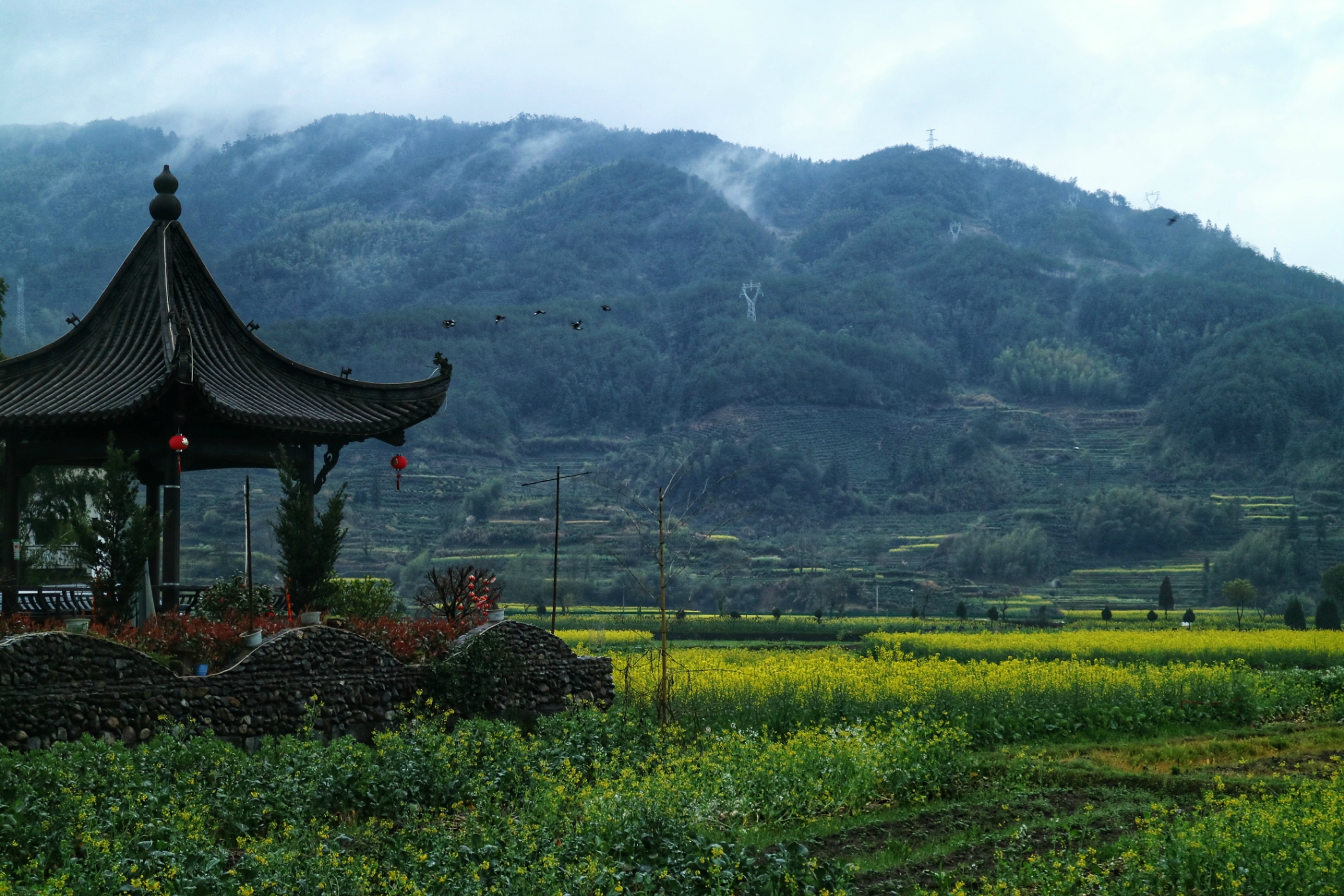 亲子游 | 春天到了，油菜花开了，走！去灵山梯田拍照