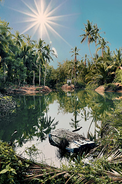 椰子洲岛旅游景点攻略图
