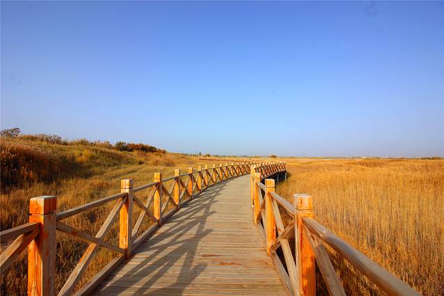 新城草湖国家湿地公园