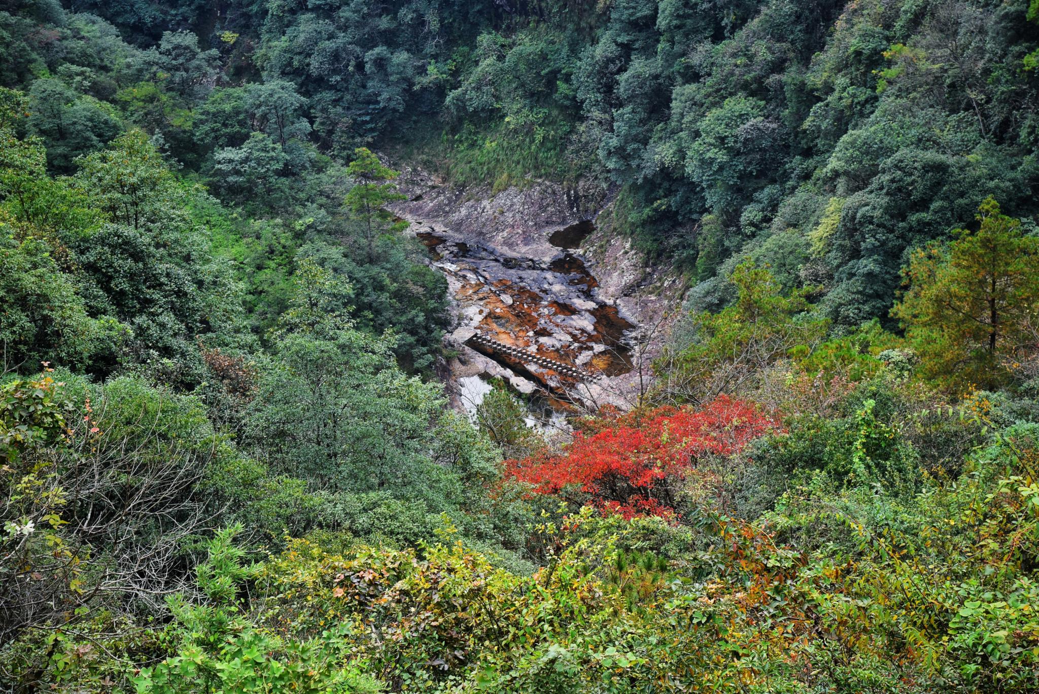 2021铜铃山森林公园游玩攻略,景区最为经典的景致从山谷谷...【去哪儿攻略】