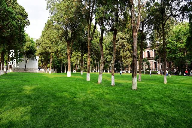 云南大学-会泽院(东陆校区)