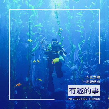 台湾海洋生物博物馆旅游景点攻略图