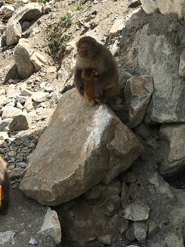 达古峡谷风景区