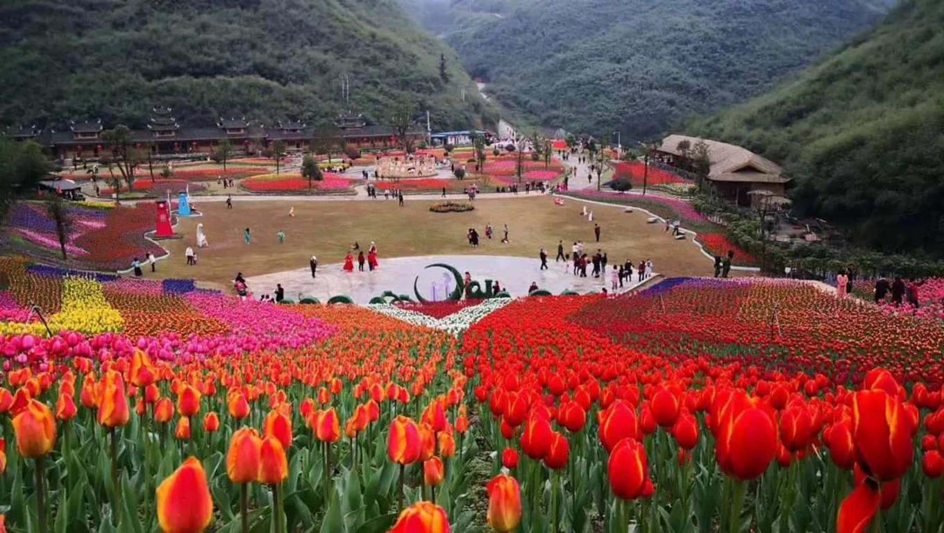 贵州省三穗县颇洞生态旅游区总体规划 - 北京江山多娇规划院