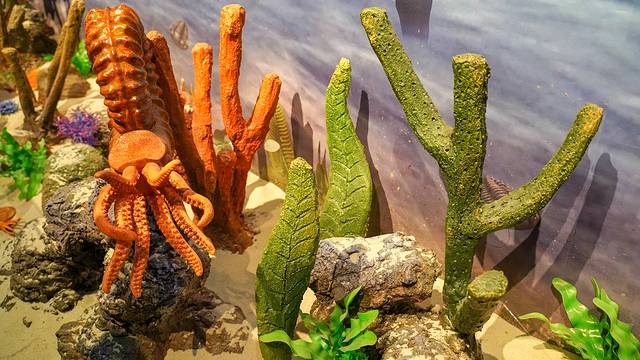 天柱山地质公园博物馆