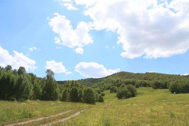 桦木沟国家森林公园