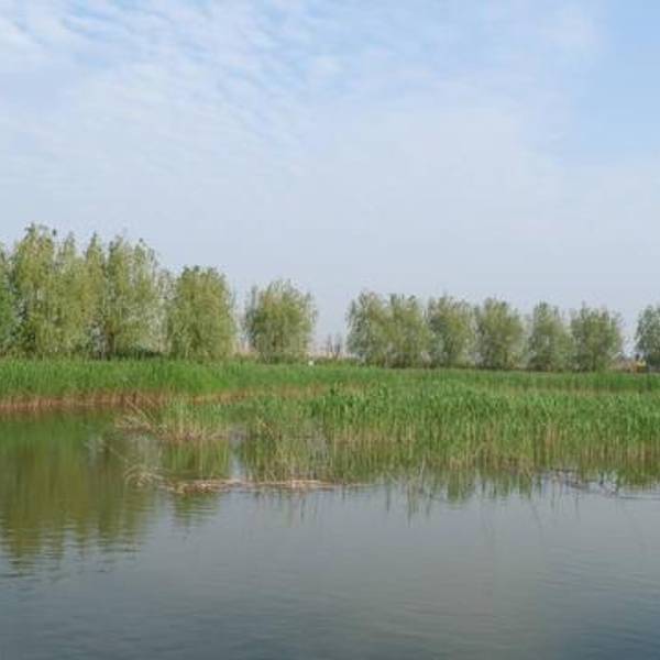 d44d56192bba285bf8b2b5dc54de6131.jpg_600x600x70_dee6c8fb.jpg