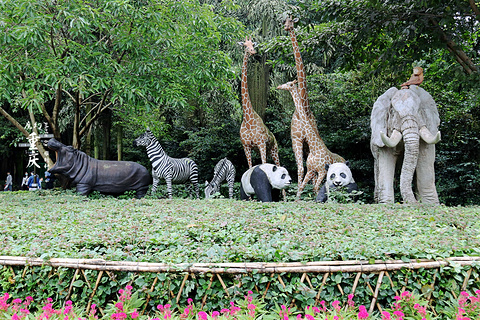 重庆动物园旅游景点攻略图