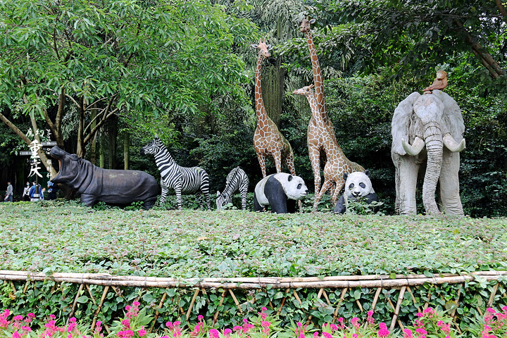 厦门海沧野生动物园图片