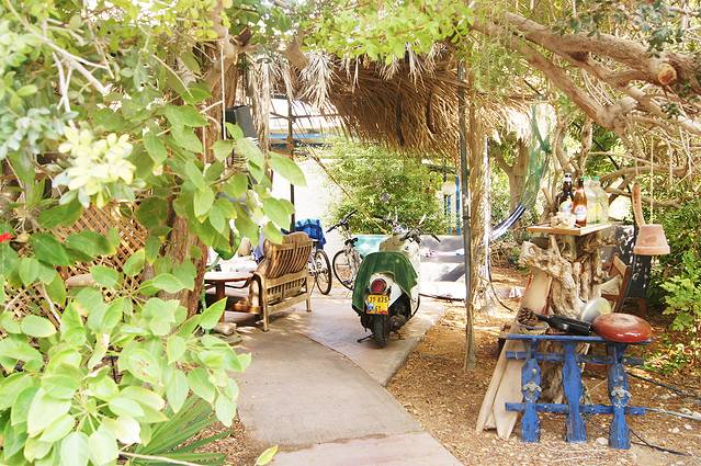 基布兹恩戈植物园