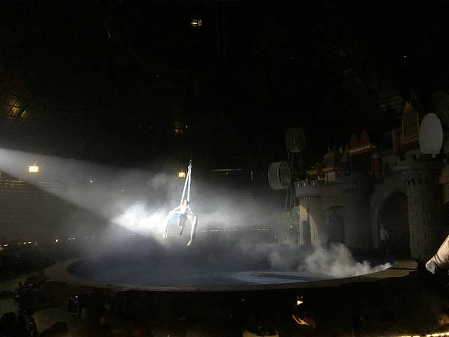 【常州】森林大马戏