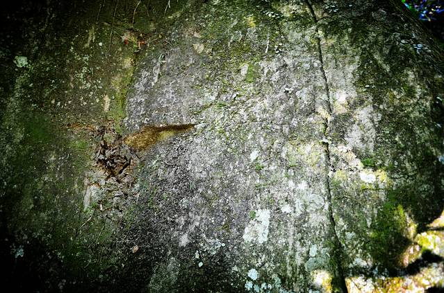 三叠井森林公园