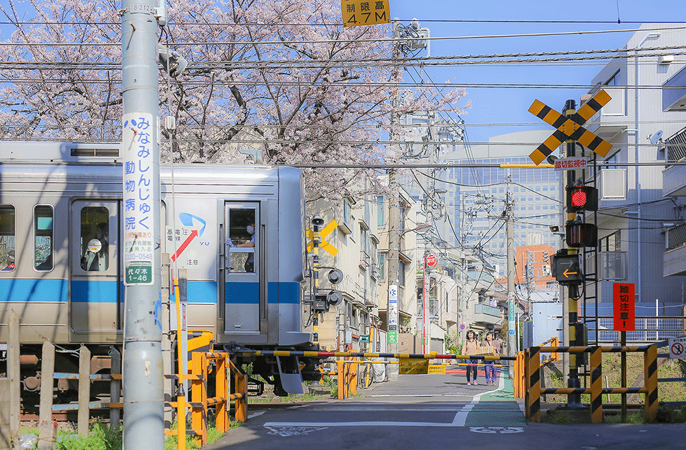 电影中的樱花美景 探访动漫 秒速5厘米 取景地 东京旅游攻略 游记 去哪儿攻略