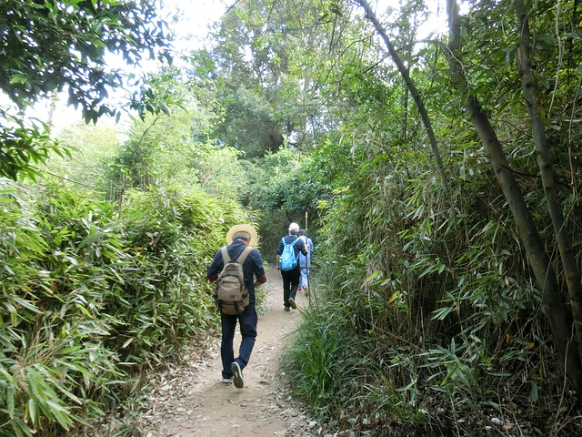 "高椅岭是一个绝对值得一去再去的好地方，经典的丹霞地貌，山水犬牙交错，奇形怪状，不是鬼斧神工，而..._高椅岭旅游区"的评论图片