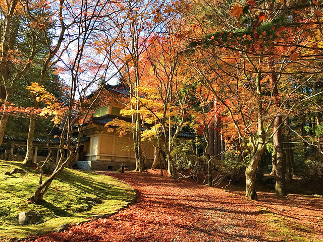 "馆内理所当然不能拍照，不过馆前一侧铺满红叶的小路，美得不可方物_Koyasan Reihokan Museum"的评论图片