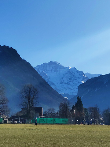 "少女峰（Jungfrau）是瑞士的著名山峰，海拔4,158米（13,642英尺）_少女峰"的评论图片