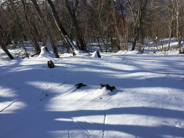 风吹过来掀起一大片的雪尘超仙超好看的生长于南方的我们从未见过如此