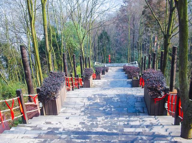 南华山国家森林公园