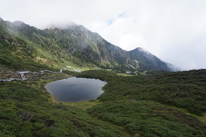 "苍山十九峰十八溪，我们去的就是最高的马龙峰。好在我们去的正好逢上苍山杜鹃开放的好时节_苍山"的评论图片