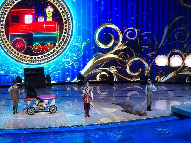 《海狮哈哈秀》