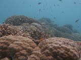 大堡礁旅游景点攻略图片