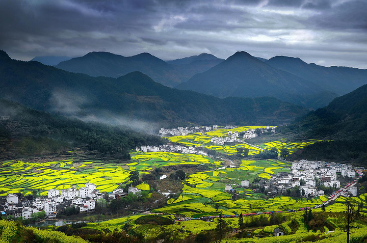 "地点：1.江岭——婺源最有名的赏花地3.月亮湾——月牙上的金色风景3月初油菜花零星分散_李坑景区"的评论图片