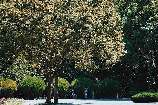 下马坊遗址公园