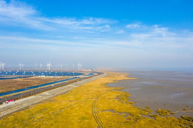 滨海新区海堤图片