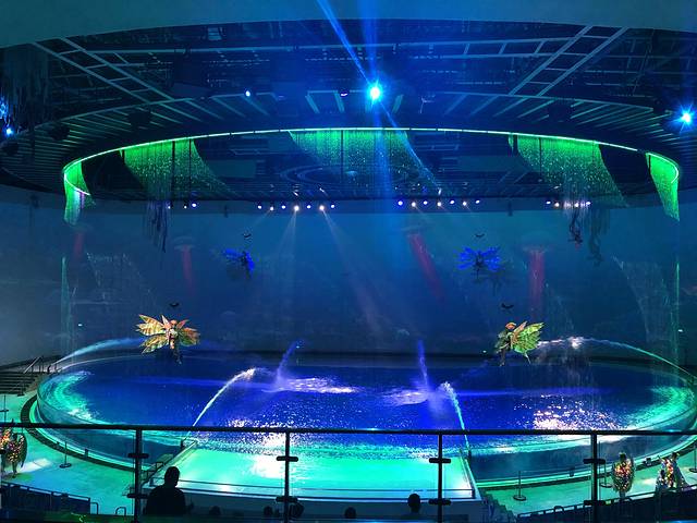 《海豚奇缘》演出