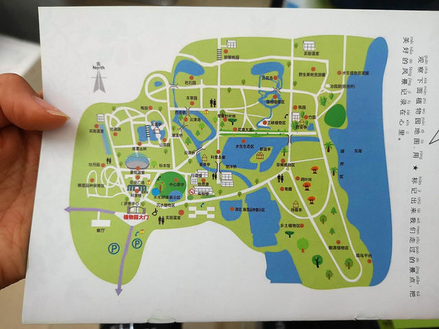"一、武汉植物园门票4、家庭年卡（类型一）：198元； 家庭年卡（类型二）：248元三、交通_武汉植物园"的评论图片