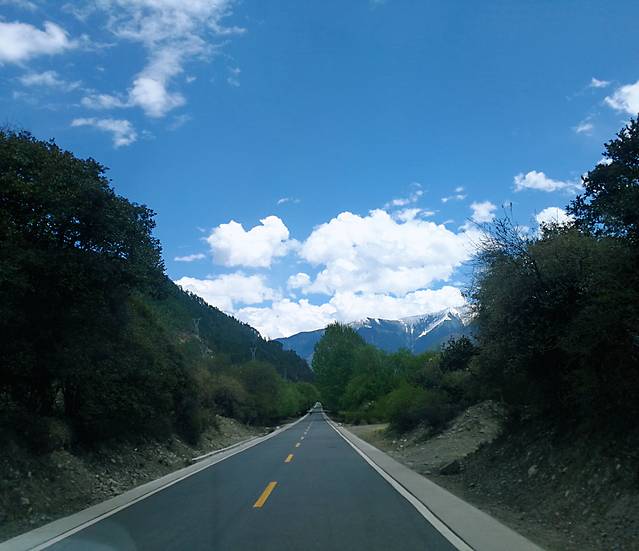 尼洋河风光带景区