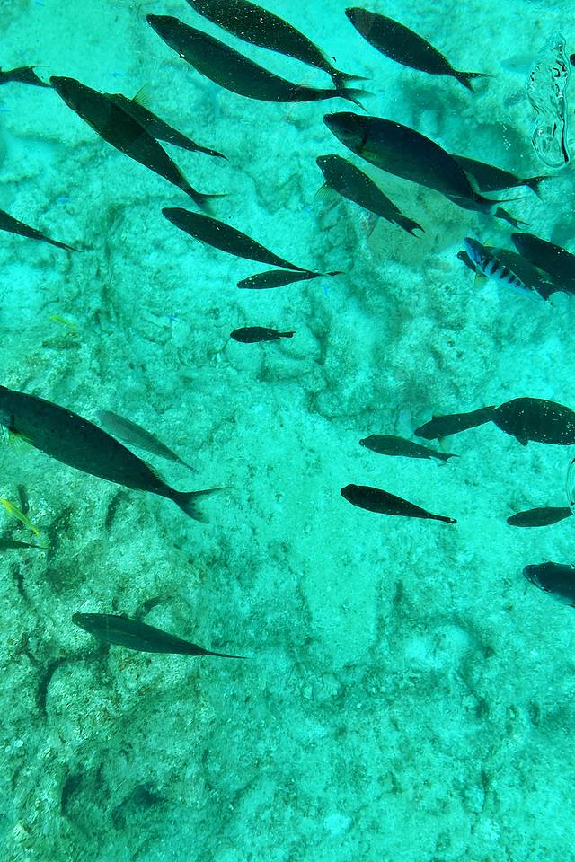 冲绳世界文化王国