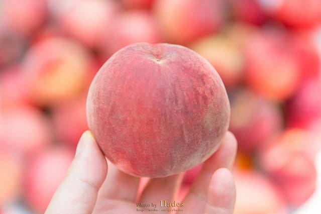 花果山风景区-怪石园
