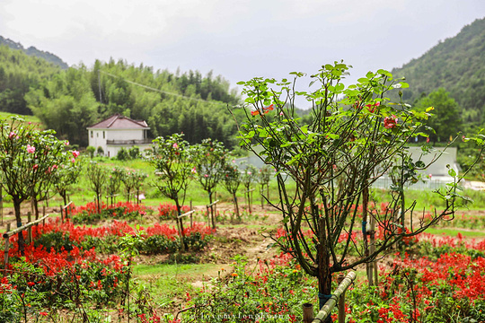 天仙峡景区旅游景点图片