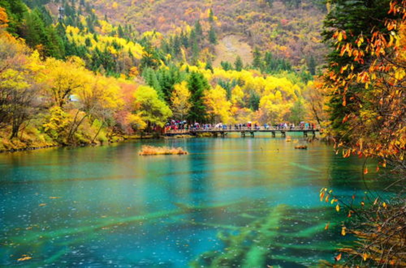 九寨沟最“仙”的景点：秋色宛如彩色梦境，堪称“九寨沟一绝”_保护