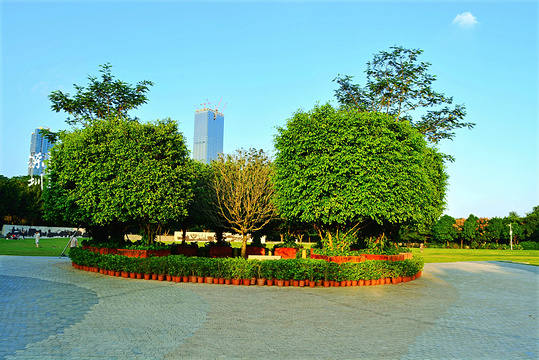 深圳经济特区建立三十周年纪念园旅游景点图片