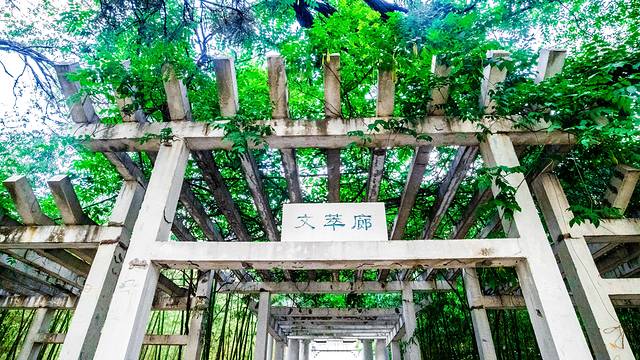 山东大学（威海）