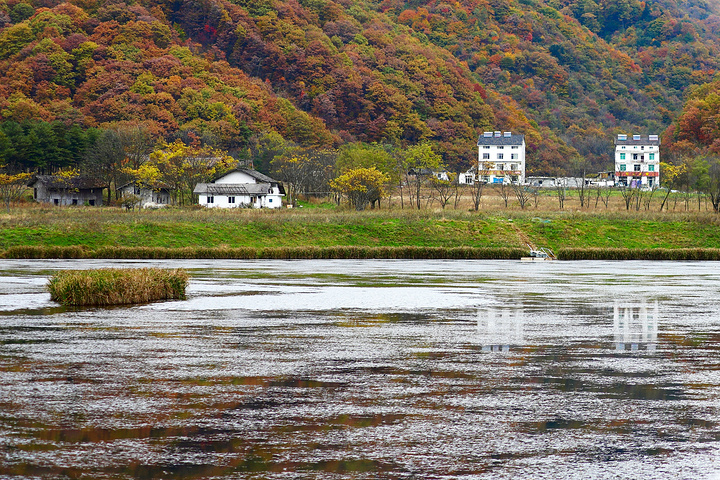 "游玩大九湖建议住宿在坪阡古镇，离游客中心很近，自驾车辆停在游客中心外面的停车场即可，预约免费门..._大九湖国家湿地公园"的评论图片