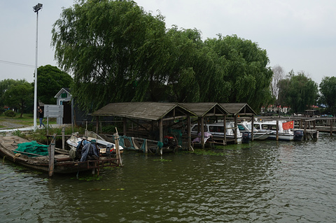 阳澄湖莲花岛旅游景点攻略图