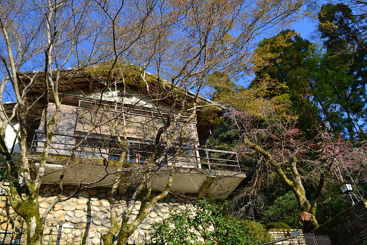 "银阁寺本名慈照寺，与金阁寺一样，同为临济宗相国寺派寺院，也是室町时代所建。银阁寺门票_银阁寺"的评论图片