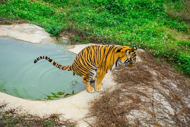雄森旅游度假区