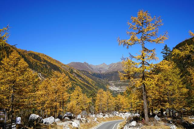 稻城亚丁-扎灌崩