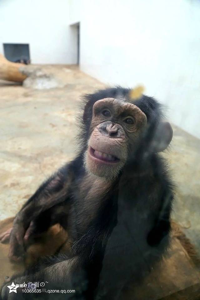 长春动植物公园