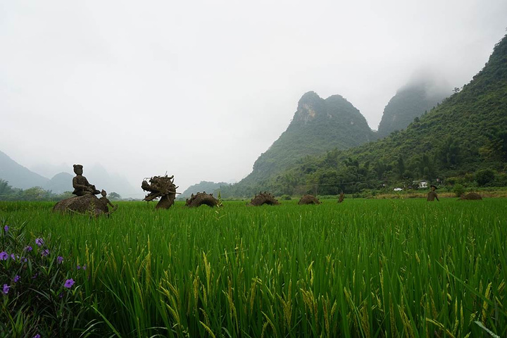 "风吹倒脸上，四处都是好风景，心情不要太好。感觉体力真的特别好。十分佩服。看到有几个人徒步旅行_遇龙河景区"的评论图片