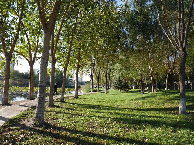 牡丹江人民公园