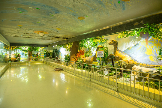 宜春自然博物馆旅游景点图片